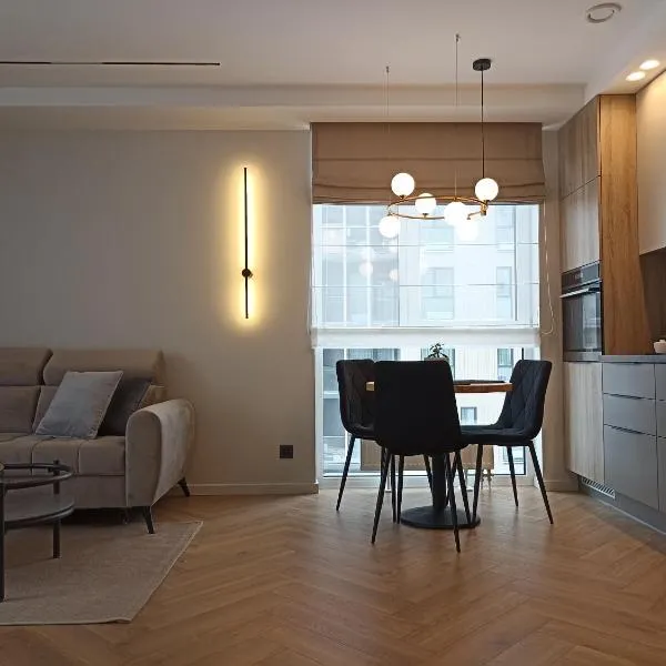 Apartments with an impressive terrace on the roof of the house, hotel in Vilnius