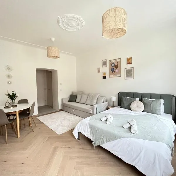 Luxurious One Room Apartment near Schönbrunn Palace，位于维也纳的酒店