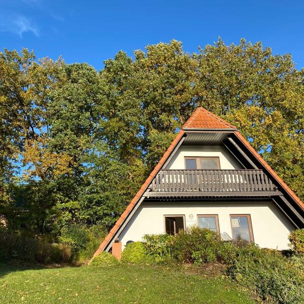 Finnhäuser am Vogelpark - Haus Brigitte