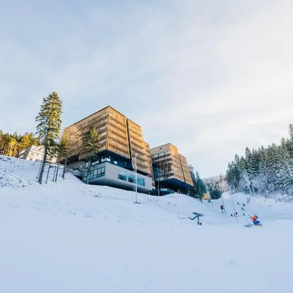 Hotel Nomad, hotel in Bjelašnica