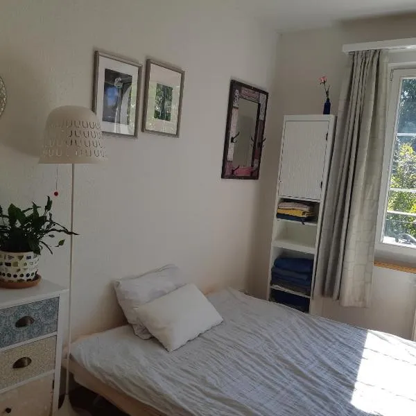 Central quiet and cosy apartment near Hallenstadion, hotel in Zurich