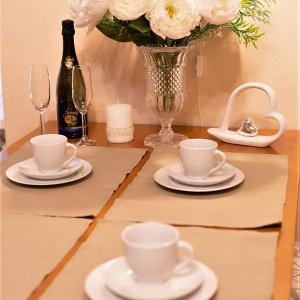 Apartmany u tri jehnatek, hotel in Karlovy Vary