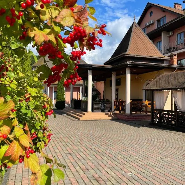 Срібний Водограй, hotel v destinaci Poljana