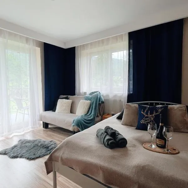 HELLO GIEWONT，位于扎科帕内的酒店