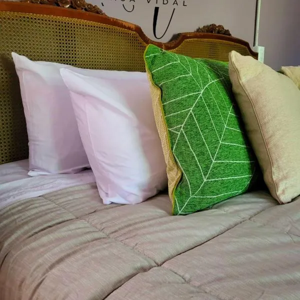 Casa Vidal Guesthouse, ξενοδοχείο σε Tupungato