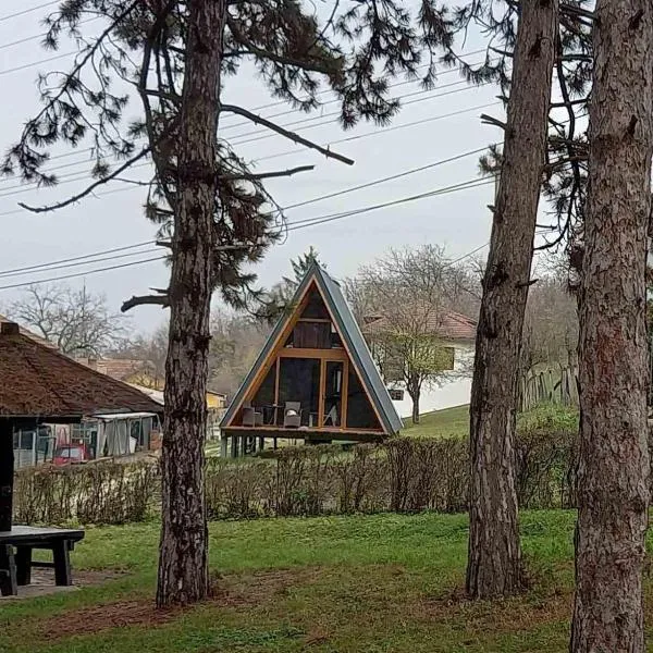 Vip Villa Jagodina - Jakuzzi is free - Private parking is free - Beautiful view of nature, hotel em Jagodina
