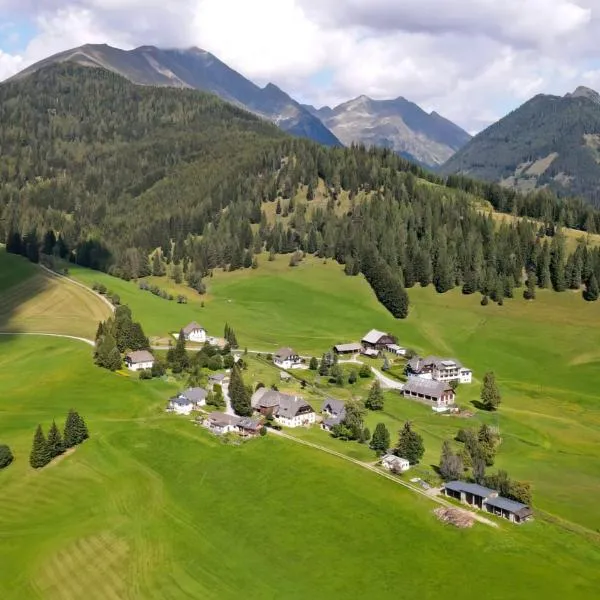 Feriendorf Gebirgshof Salomon, ξενοδοχείο σε Krakaudorf