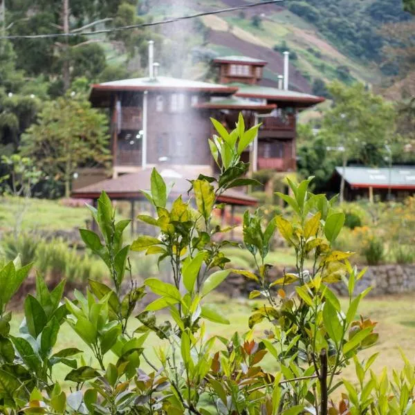 Los Quetzales Ecolodge & Spa, hotel in Cerro Punta