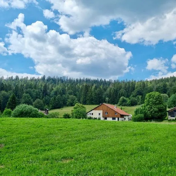 LaTerestone, hotel in Les Bayards