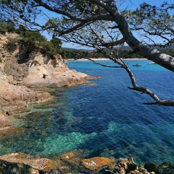 Studio à Hyères Port - Proche de toutes commodités, hotell i Hyères