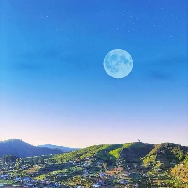 Cabin 7000 feet Nuwaraeliya, hotel in Nuwara Eliya