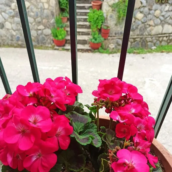 Feneos apartment, hotel v destinaci Feneos