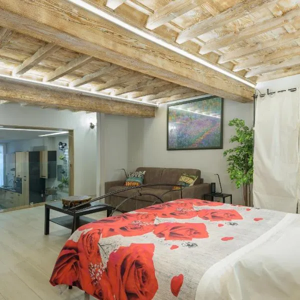 Geppi's Apartments, hotel in Florence