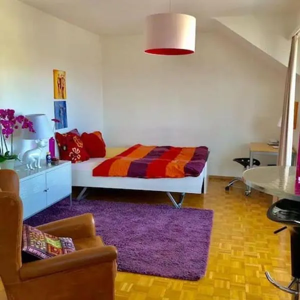 Ganze Wohnung mit Balkon,schöne Aussicht,Küche,Bad,Wifi, khách sạn ở Basel