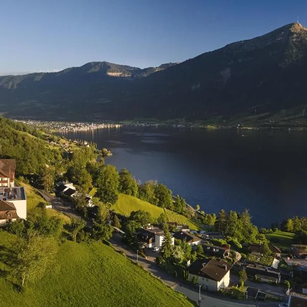 Zentrum Elisabeth - convalescent hotel, Kurhotel, hotel in Walchwil