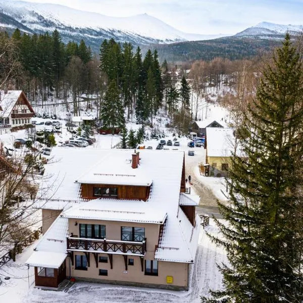 Wonder Home - Dom Willa Karpacz blisko centrum, tuż przy stoku i restauracji, Hotel in Karpacz