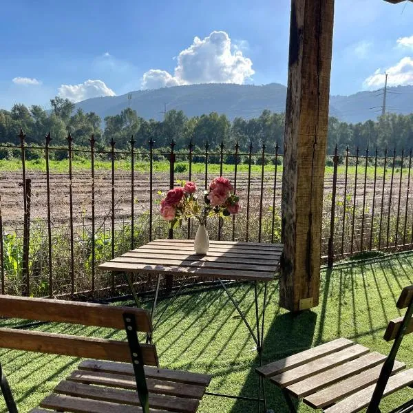 בוסתן החורש – hotel w mieście Hajfa