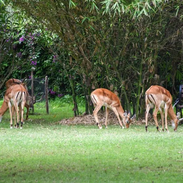Lukenya Getaway, hotel in Athi River