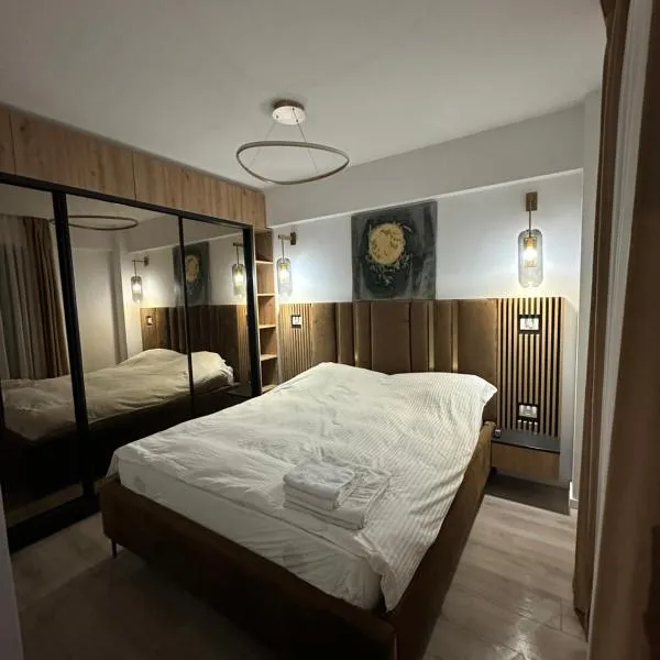 Q Business Apartment, hotel in Timişoara