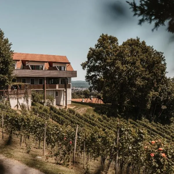 Weingut Assigal, hotel in Leibnitz