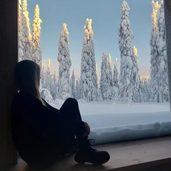 Arctic Nest, hotel i Kotila