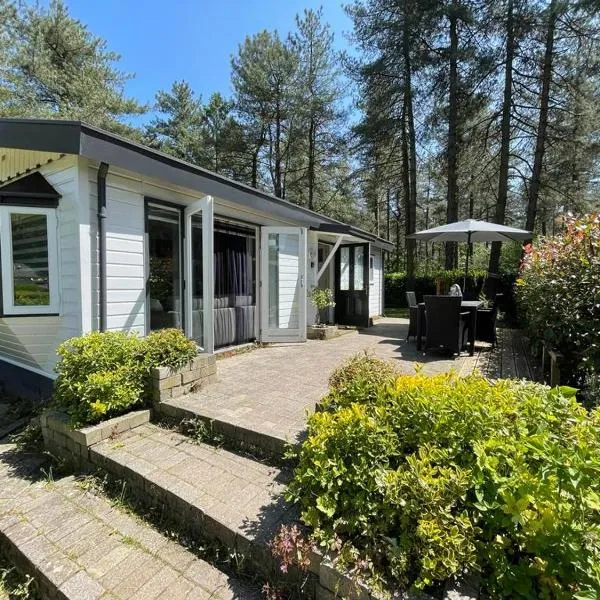 Luxe vakantiehuis in het bos, hotel en Overbroek