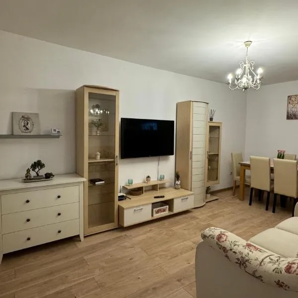 Diana Apartments, ξενοδοχείο σε Arad