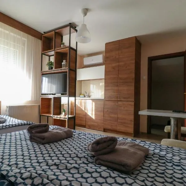 Studio Apartments Maksimović, hotel in Niš