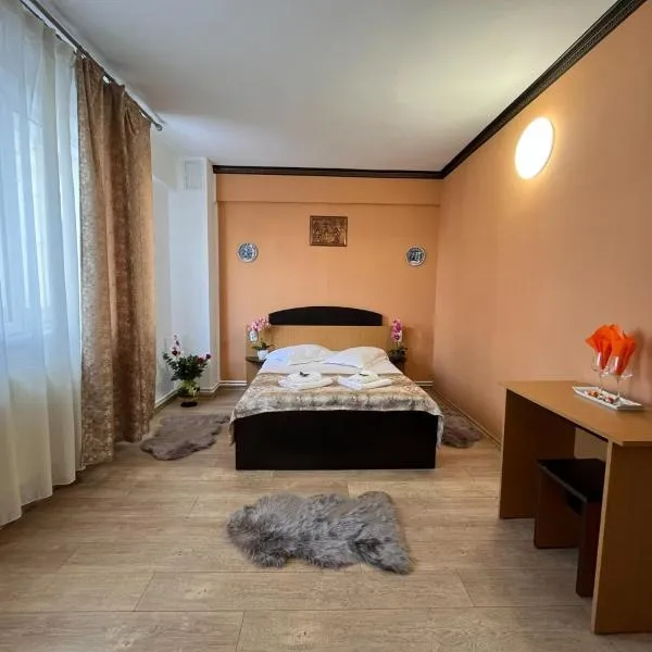 Pensiunea Nys, hotel in Iaşi