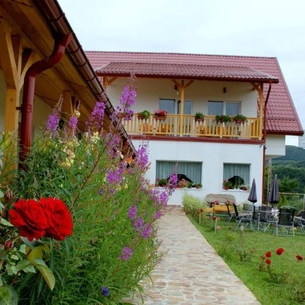 Pensiunea Poezii Alese, hotel in Valea Drăganului