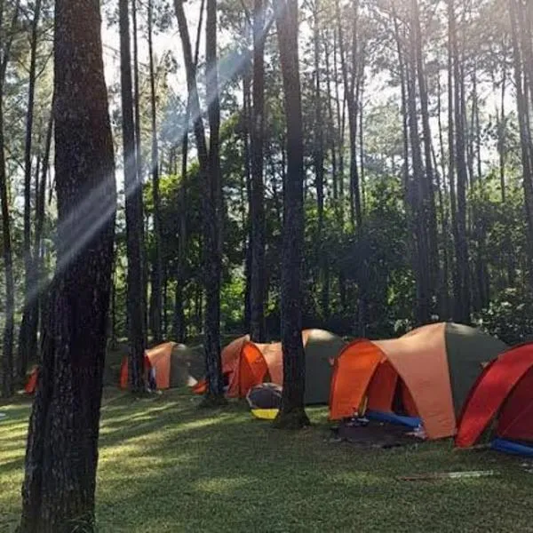 Wong Deso Camping, hotel v destinaci Seminyak