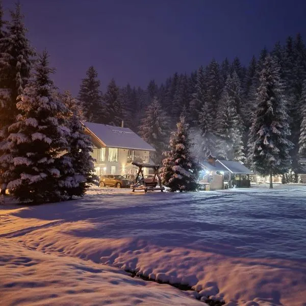 Casa Danielle, hotel in Topliţa