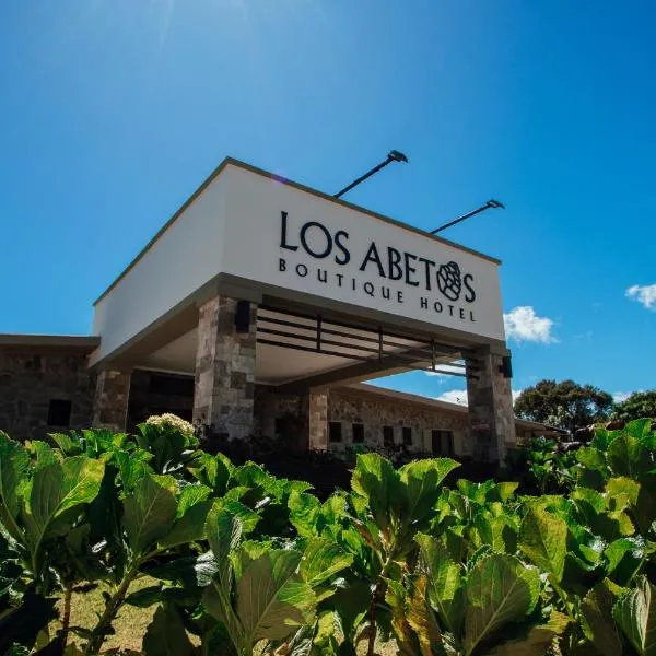 Hotel Boutique Los Abetos, hotel em Boquete