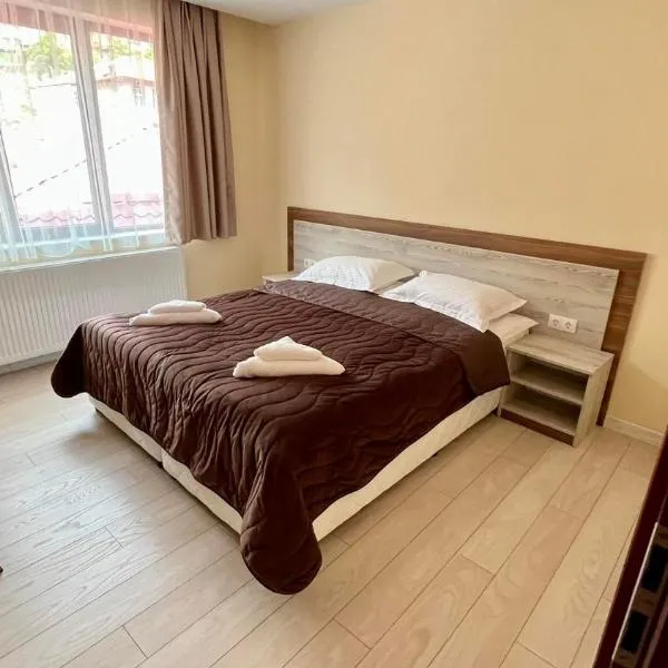 Къща за гости Михаела, hotel in Chepelare