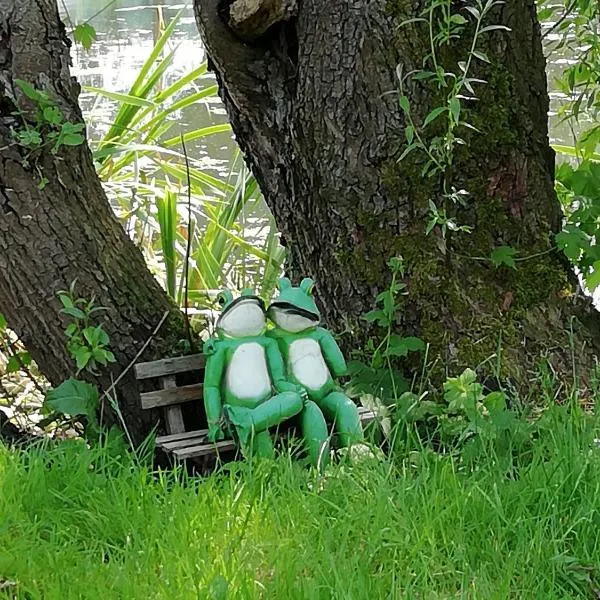 Am Froschteich, hotel in Dolgen