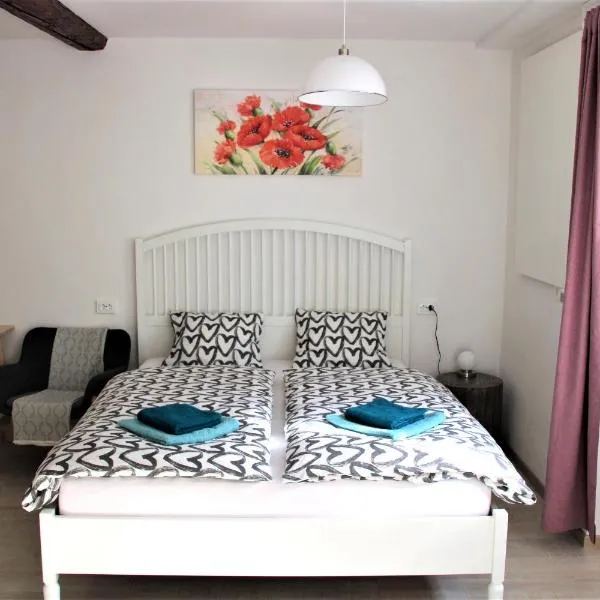 Pink house Studio, hotel in Ljubljana