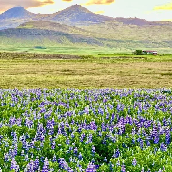 Hrossholt, ξενοδοχείο σε Stykkisholmur