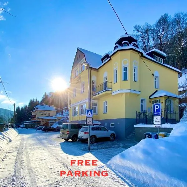 Vila Jáchymov, hotel in Jáchymov