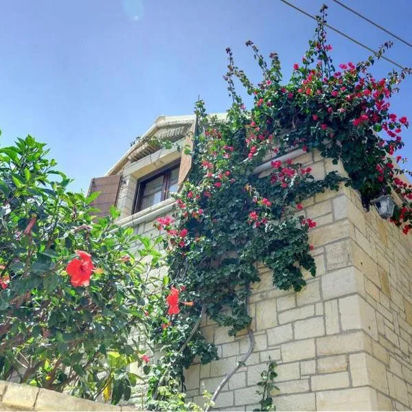 Studio Petrino - A holiday nest!, hotel em Velianitátika