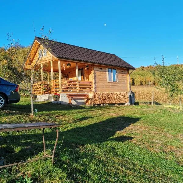 Stefana's Tiny House Nature Retreat, hotel in Sărădiş