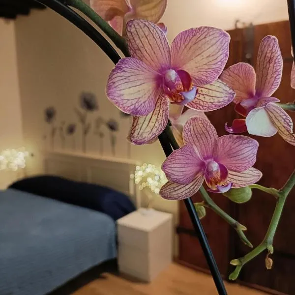 Il giardino segreto, khách sạn ở Lucca