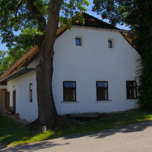 Chalupa lipovka, hotel v destinaci Budětice