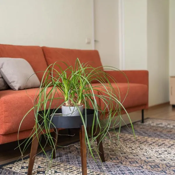 Virumaa Hostel, hotell i Kohtla-Järve