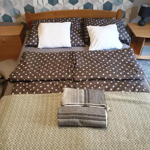 Dóra apartman best location、デブレツェンのホテル