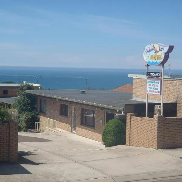Whale Fisher Motel, Hotel in Eden