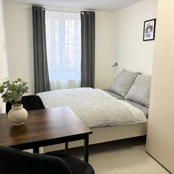 Apartmány Plzeň Rolnické náměstí 8, hotel v Plzni