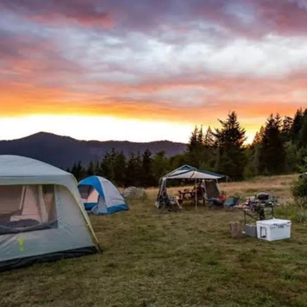 ALAM RAYA CAMP, hotel in Curug 1
