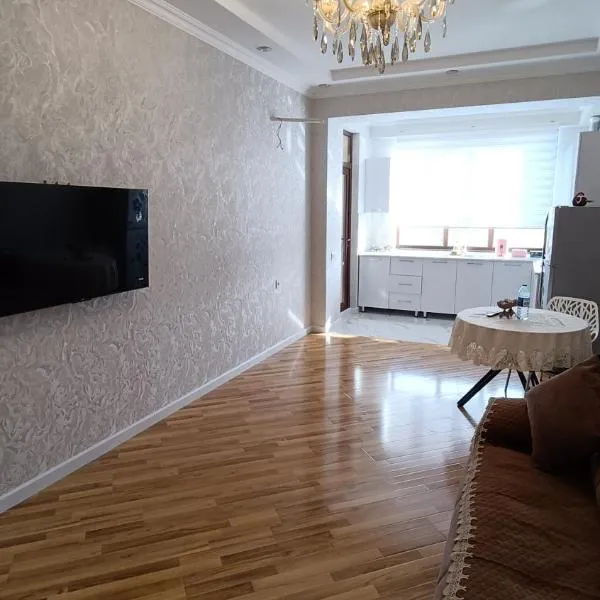 Apartment baku, hotel in Baku