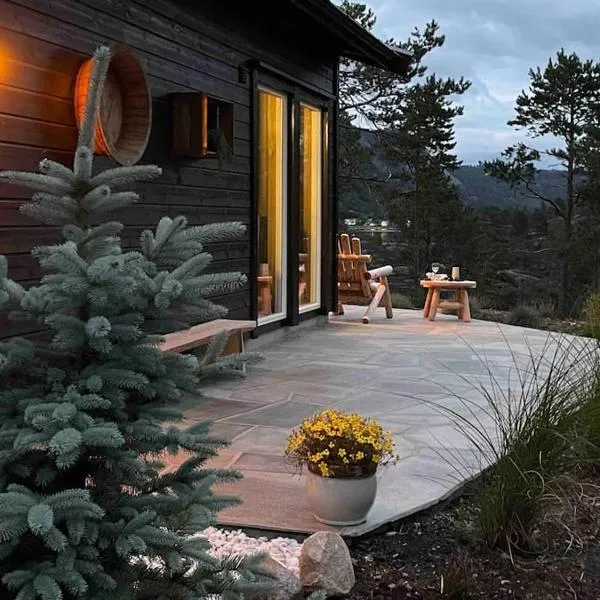 Cosy cabin between lake and mountain、Treungenのホテル