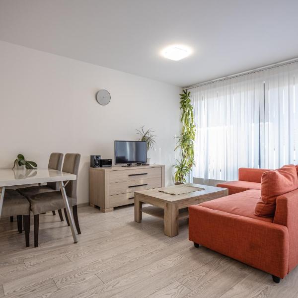 Spacious Terrace Apartment with free private parking, Praha